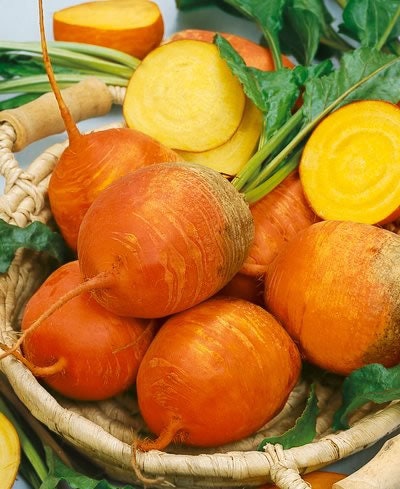 Three Color Detroit Beet, Seed Collection - BoxGardenSeedsLLC - Beet,Turnips,Parsnips - Seeds - USA Seller, Thank you for shopping here today, Naturally Grown GMO Free Seeds, Heirloom Open Pollinated Seeds, Fresh Top Quality Premium Seeds