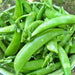 Super Sugar, Snap Peas, - BoxGardenSeedsLLC -Peas - Seeds