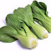 Pak Choy, Chinese Cabbage, - BoxGardenSeedsLLC -Cabbage, Kale - Seeds