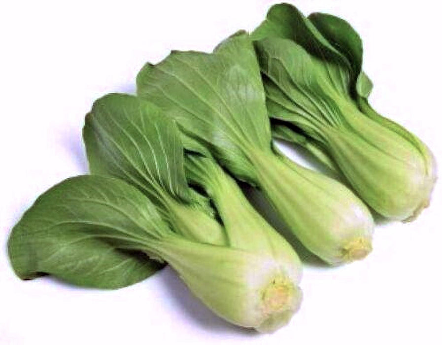 Pak Choy, Chinese Cabbage - BoxGardenSeedsLLC - Cabbage, Kale - Seeds - USA Seller, Thank you for shopping here today, Naturally Grown GMO Free Seeds, Heirloom Open Pollinated Seeds, Fresh Top Quality Premium Seeds