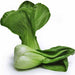 Pak Choy, Chinese Cabbage, - BoxGardenSeedsLLC -Cabbage, Kale - Seeds