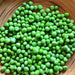 Wando, Peas, - BoxGardenSeedsLLC -Abundant Stock SALE - Seeds