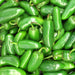 Jalapeno Tam, Hot Pepper, -- BoxGardenSeedsLLC -Peppers,Eggplants - Seeds