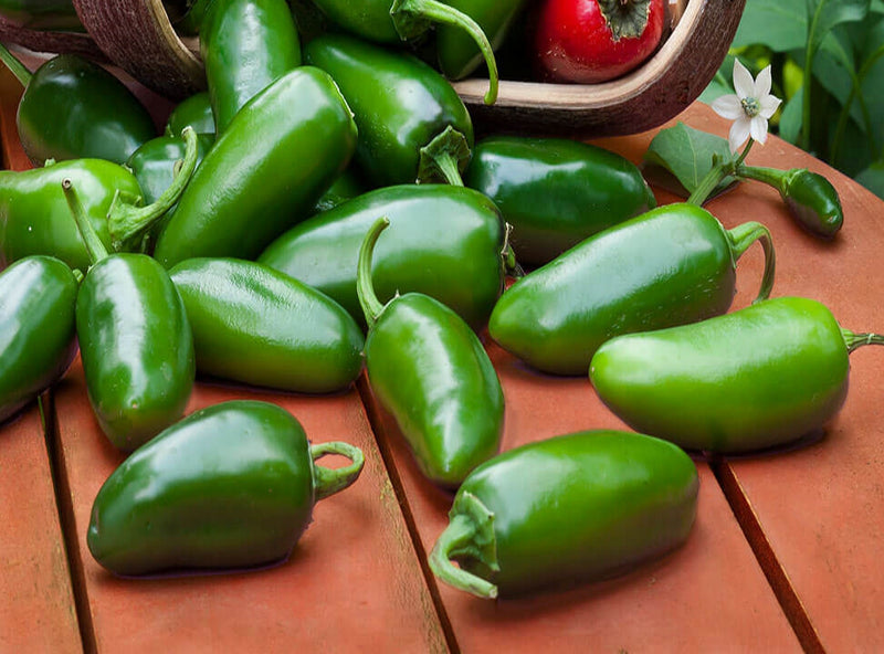 NADAPEÑO (Heatless), Jalapeño Pepper - BoxGardenSeedsLLC - Peppers,Eggplants - Seeds - USA Seller, Thank you for shopping here today, Naturally Grown GMO Free Seeds, Heirloom Open Pollinated Seeds, Fresh Top Quality Premium Seeds
