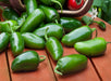 NADAPEÑO (Heatless), Jalapeño Pepper, -- BoxGardenSeedsLLC -Peppers,Eggplants - Seeds