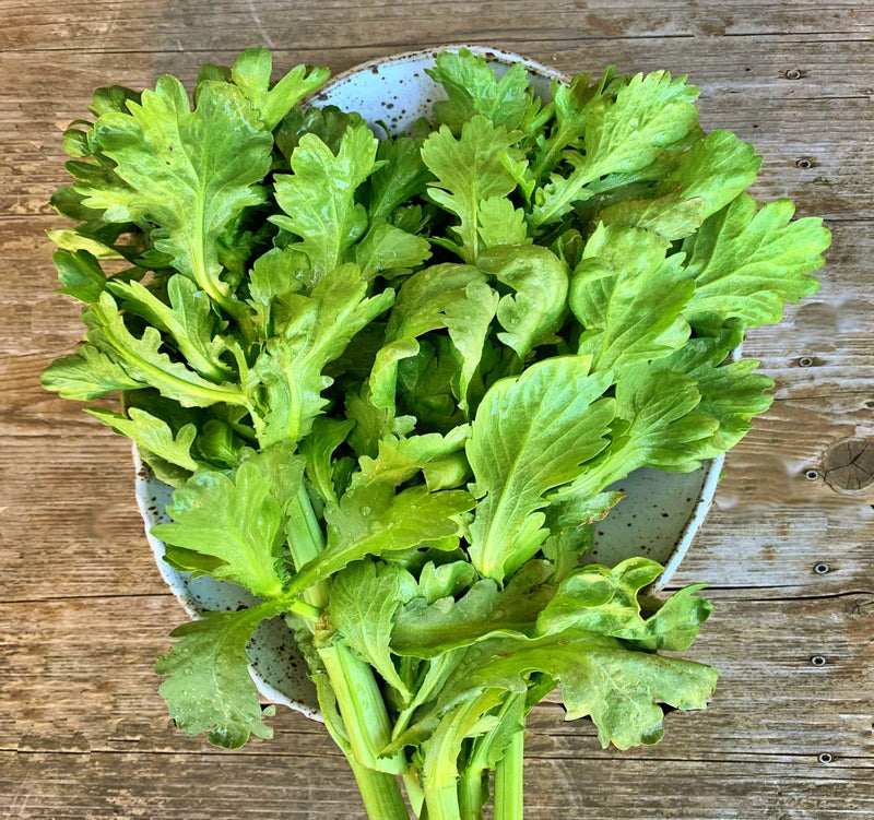 Broad Leaf, Edible Chrysanthemum - BoxGardenSeedsLLC - Gourmet/Native Greens - Seeds - USA Seller, Thank you for shopping here today, Naturally Grown GMO Free Seeds, Heirloom Open Pollinated Seeds, Fresh Top Quality Premium Seeds