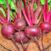 Crosbys Egyptian, Beets, - BoxGardenSeedsLLC -Beet,Turnips,Parsnips - Seeds