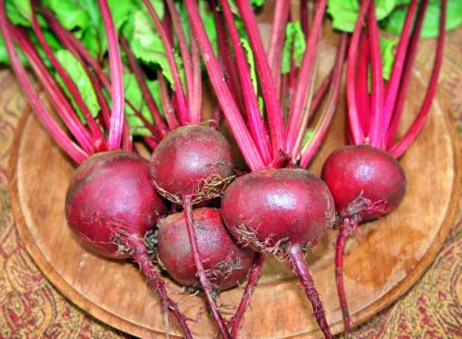 Crosbys Egyptian, Beets - BoxGardenSeedsLLC - Beet,Turnips,Parsnips - Seeds - Thank you for shopping here today, Non GMO Seeds, Naturally Grown Seeds, Grown to Organic Standards, Heirloom Seeds, Open Pollinated Seeds, Fresh Premier Seeds, USA Seller