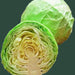 All Seasons, Cabbage, - BoxGardenSeedsLLC -Cabbage, Kale - Seeds