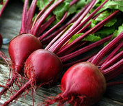 Crosbys Egyptian, Beets - BoxGardenSeedsLLC - Beet,Turnips,Parsnips - Seeds - Thank you for shopping here today, Non GMO Seeds, Naturally Grown Seeds, Grown to Organic Standards, Heirloom Seeds, Open Pollinated Seeds, Fresh Premier Seeds, USA Seller