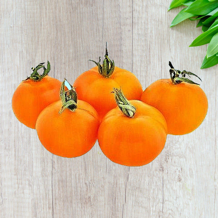 Tomato, Sweet Orange Cherry, -- BoxGardenSeedsLLC -Tomatoes,Tomatillos - Seeds