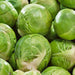 Catskill, Brussel Sprouts, - BoxGardenSeedsLLC -Cabbage, Kale - Seeds