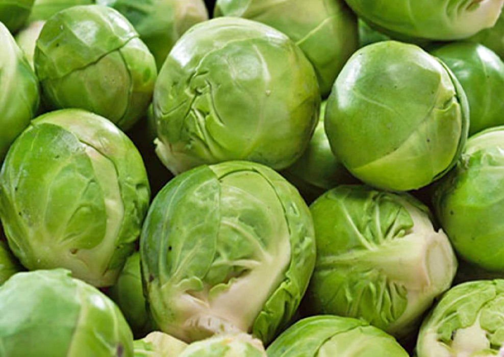 Catskill, Brussel Sprouts, -- BoxGardenSeedsLLC -Cabbage, Kale - Seeds