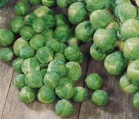 - BoxGardenSeedsLLC - Long Island Improved Brussel Sprouts - Broccoli,Cauliflower - Seeds