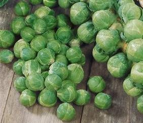 Long Island Improved, Brussel Sprouts, -- BoxGardenSeedsLLC -Broccoli,Cauliflower - Seeds