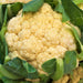 All Year Round, Cauliflower, - BoxGardenSeedsLLC -Broccoli,Cauliflower - Seeds