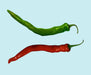 - BoxGardenSeedsLLC - Fushimi Pepper, Heirloom Hot Pepper Seeds Open Pollinated Non-GMO - Peppers,Eggplants - Seeds