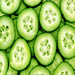 - BoxGardenSeedsLLC - Tendergreen Burpless Cucumber - Cucumbers - Seeds