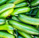 Marketer, Cucumber, -- BoxGardenSeedsLLC -Cucumbers - Seeds