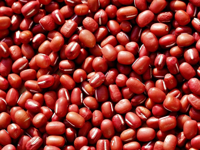 Adzuki Red, Beans - BoxGardenSeedsLLC - Beans / Dry Beans - Seeds - USA Seller, Thank you for shopping here today, Naturally Grown GMO Free Seeds, Heirloom Open Pollinated Seeds, Fresh Top Quality Premium Seeds