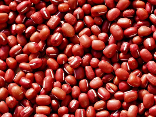 Adzuki Red, Beans, -- BoxGardenSeedsLLC -Beans / Dry Beans - Seeds