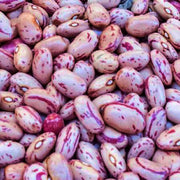 Dwarf Horticulture Taylor, Dry Bush Beans - BoxGardenSeedsLLC - Beans / Dry Beans - Seeds - USA Seller, Thank you for shopping here today, Naturally Grown GMO Free Seeds, Heirloom Open Pollinated Seeds, Fresh Top Quality Premium Seeds