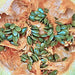 Styrian Hulless Pumpkin Seeds - BoxGardenSeedsLLC -Squash,Pumpkins - Seeds