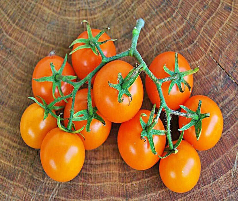 Tomato, Sweet Orange Cherry, - BoxGardenSeedsLLC -Tomatoes,Tomatillos - Seeds