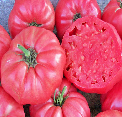Pink Brandywine, Tomato - BoxGardenSeedsLLC - Tomatoes,Tomatillos - Seeds - 
