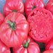 Pink Brandywine, Tomato, - BoxGardenSeedsLLC -Tomatoes,Tomatillos - Seeds