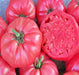 - BoxGardenSeedsLLC - Pink Brandywine, Tomato, - Tomatoes,Tomatillos - Seeds