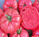 Pink Brandywine, Tomato, -- BoxGardenSeedsLLC -Tomatoes,Tomatillos - Seeds