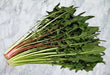 - BoxGardenSeedsLLC - True Dandelion - Gourmet/Native Greens - Seeds