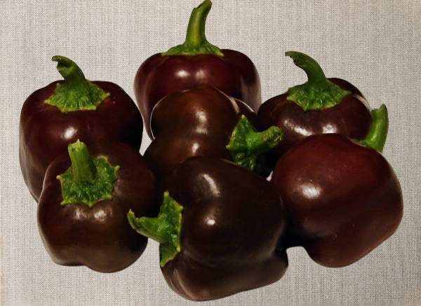Mini Bell Mix, Sweet Bell Pepper - BoxGardenSeedsLLC - Peppers,Eggplants - Seeds - USA Seller, Thank you for shopping here today, Naturally Grown GMO Free Seeds, Heirloom Open Pollinated Seeds, Fresh Top Quality Premium Seeds