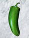 Craig's Grande Jalapeno, Hot Pepper, -- BoxGardenSeedsLLC -Peppers,Eggplants - Seeds