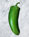 - BoxGardenSeedsLLC - Craig's Grande Jalapeno Hot Pepper - Peppers,Eggplants - Seeds