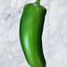 Craig's Grande Jalapeno, Hot Pepper, - BoxGardenSeedsLLC -Peppers,Eggplants - Seeds