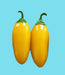 - BoxGardenSeedsLLC - Lemon Spice Jalapeno Pepper Seeds / Heirloom Open PollinatedNon-GMO - Peppers,Eggplants - Seeds