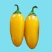 Lemon Spice, Jalapeno Pepper, -- BoxGardenSeedsLLC -Peppers,Eggplants - Seeds