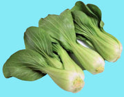 Baby, Bok Choy - BoxGardenSeedsLLC - Cabbage, Kale - Seeds - USA Seller, Thank you for shopping here today, Naturally Grown GMO Free Seeds, Heirloom Open Pollinated Seeds, Fresh Top Quality Premium Seeds
