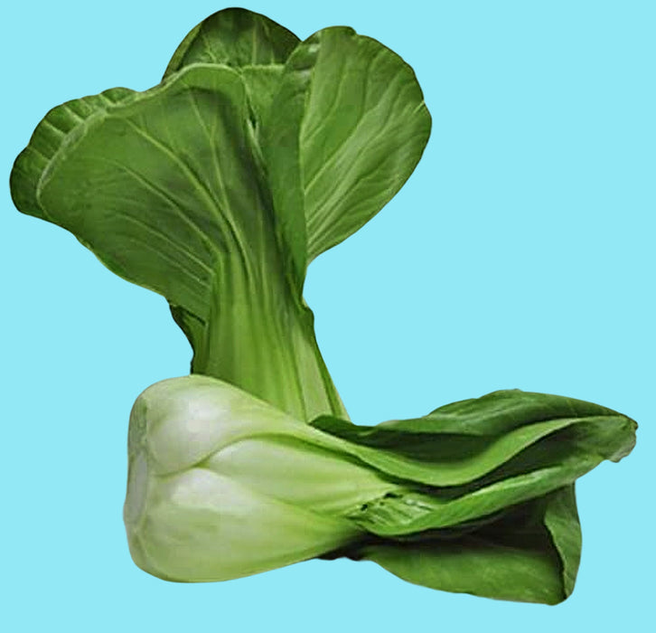 Baby, Bok Choy, - BoxGardenSeedsLLC -Cabbage, Kale - Seeds