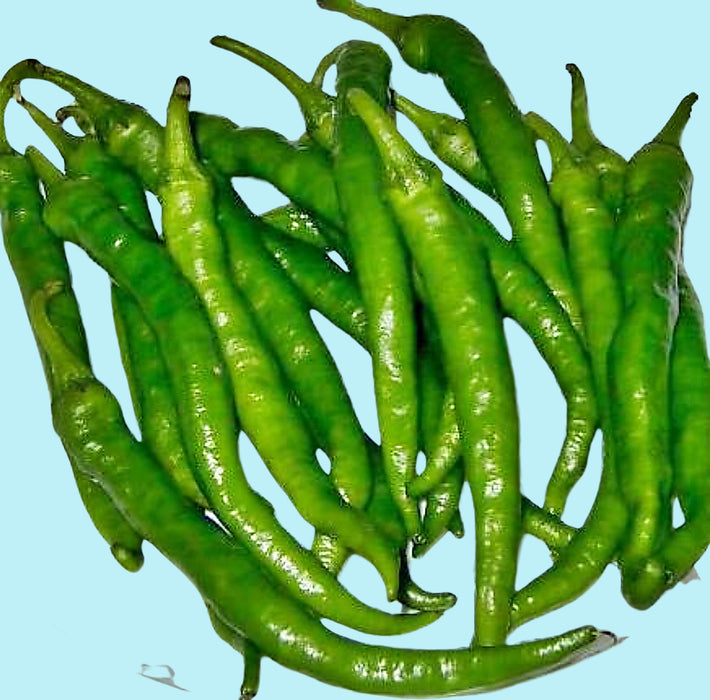 - BoxGardenSeedsLLC - Fushimi Pepper, Heirloom Hot Pepper Seeds Open Pollinated Non-GMO - Peppers,Eggplants - Seeds
