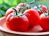 Sub Arctic Plenty, Tomato, -- BoxGardenSeedsLLC -Tomatoes,Tomatillos - Seeds