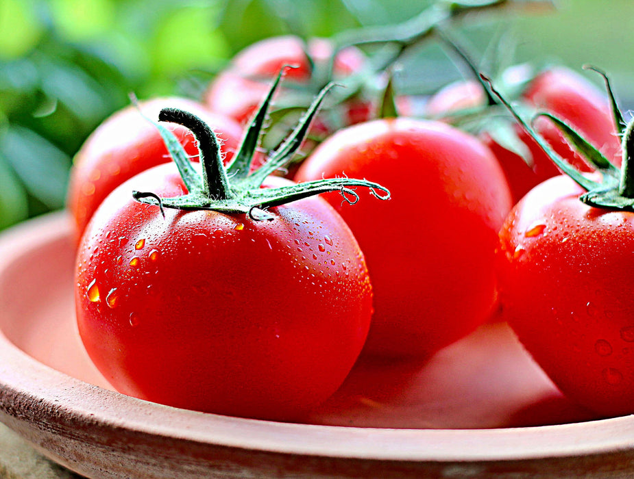 Sub Arctic Plenty, Tomato, -- BoxGardenSeedsLLC -Tomatoes,Tomatillos - Seeds