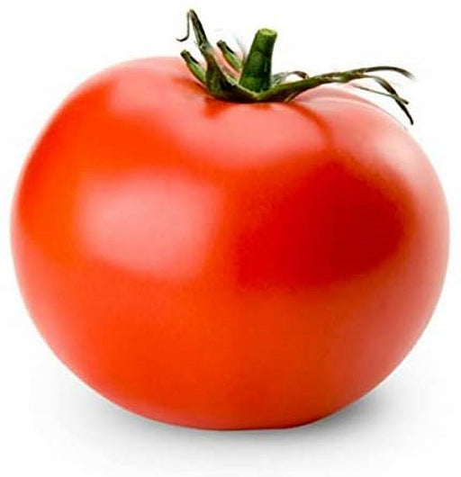 - BoxGardenSeedsLLC - New Yorker, Tomato, - Tomatoes,Tomatillos - Seeds