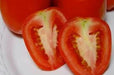 - BoxGardenSeedsLLC - Roma VF Paste, Tomato, - ABS Sale - Seeds