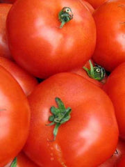Ace 55, Tomato - BoxGardenSeedsLLC - Tomatoes,Tomatillos - Seeds - Thank you so much for shopping here today, Fresh Heirloom Vegetable Seeds, Naturally Grown Open Pollinated, More Seeds for Your Money, More Fresh Seeds Per Packet