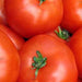 Ace 55, Tomato - BoxGardenSeedsLLC -Tomatoes,Tomatillos - Seeds