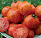 - BoxGardenSeedsLLC - Red Zebra, Tomato, - Tomatoes,Tomatillos - Seeds