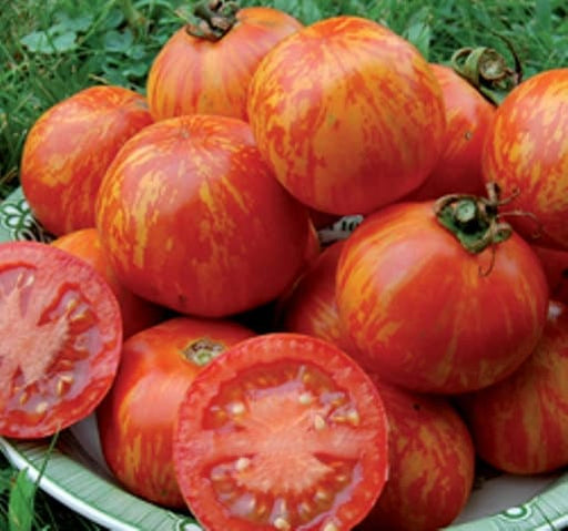 Red Zebra, Tomato, - BoxGardenSeedsLLC -Tomatoes,Tomatillos - Seeds